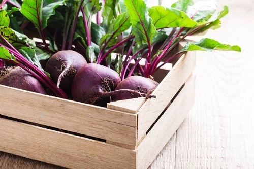 growing beets indoors