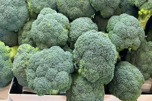 growing broccoli in containers