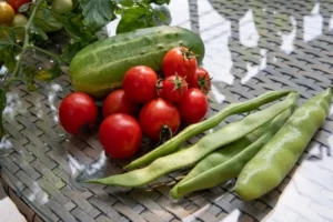 cucumber companion plants