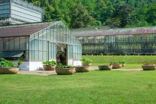 planning greenhouse