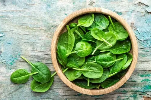 growing spinach indoors