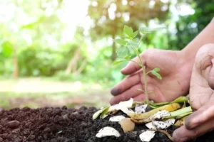 orgnic gardening at home