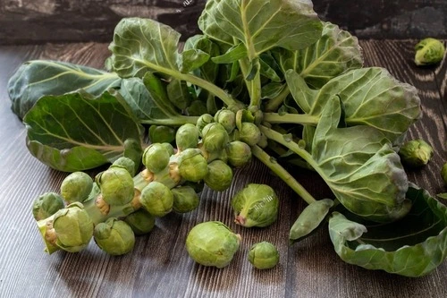 growing Brussels from scraps