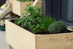 how to build raised garden bed