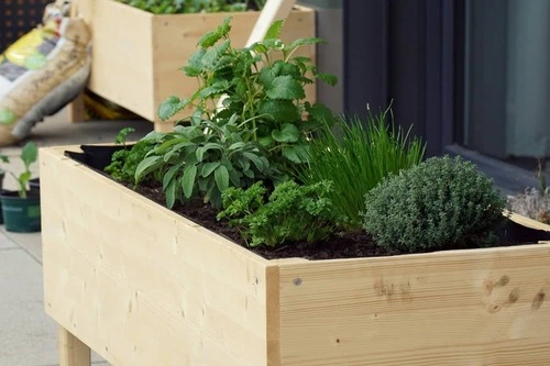 how to build raised garden bed