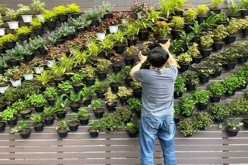 vertical gardens